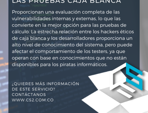 Pruebas de caja blanca